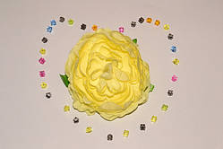 Головка Камелії цв.жовтий