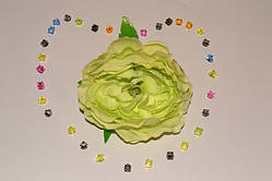 Головка Камелії цв.салатовий