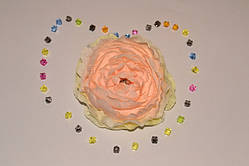 Головка Камелії цв.персиковий