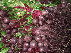 Насіння буряка Ронда F1/Rhonda F1 10000 насіння Bejo Zaden