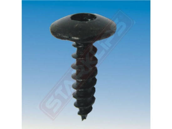 Саморіз із заглибленням під TORX на Пежо, фото 1