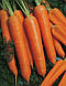 Насіння моркви Наполі F1 (1.8-2.0 мм) 25000 насіння Bejo Zaden, фото 2