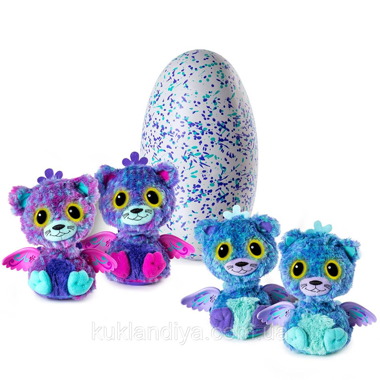 Інтерактивна іграшка Hatchimals Spin Master — Подвійний сюрприз у яйці близнюки кошенята