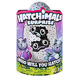 Інтерактивна іграшка Hatchimals Spin Master — Подвійний сюрприз у яйці близнюки кошенята, фото 5