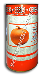 Насіння цибулі «Глобус» 500 г, інкрустовані (Vitas)