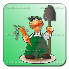 Насіння в зіп-пакетах 1-100 г, серія «Дачник»