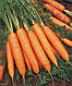 Семега моркови Бангор F1 \ Bangor F1 (1.8-2.0 mm), 100 000 семян, Bejo Zaden, фото 2