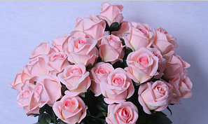 Штучні квіти та зелень преміумкласу.Увага! товар цієї групи відпускається лише після оплати!