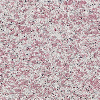 Рідкі шпалери Вест 936