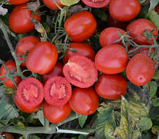 Насіння томату 1015 F1 100.000 насіння Heinz Seed