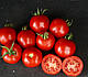 Насіння ультрараннього томата Шаста F1 10000 насіння від Lark Seeds, фото 5
