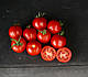 Насіння ультрараннього томату Шаста F1 1000 насіння від Lark Seeds, фото 3