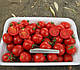 Насіння томата Шкіпер F1 10000 насіння Lark Seeds, фото 7