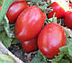 Насіння томату Санні F1/Sanni F1 5000 насіння Lark Seeds, фото 4