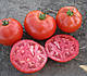 Насіння томату 1504 F1 5000 насіння Larks Seeds, фото 3