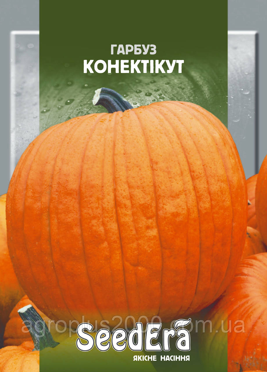 Насіння Гарбузово-поплодове консативно 2 грами SeedEra