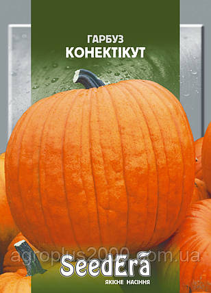 Насіння Гарбузово-поплодове консативно 2 грами SeedEra, фото 2