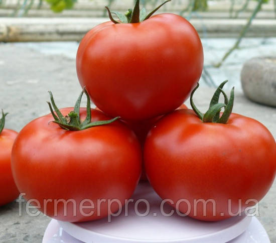 Семена томата Прайд F1 \ Prayd F1 250 семян Lark seeds