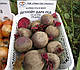 Насіння буряків Детройт Дарк Ред 5 кг Lark seeds, фото 3