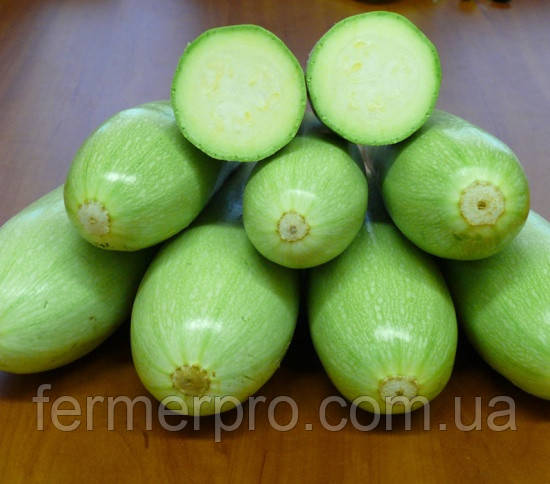 Семена кабачка Немо F1 2500 сем. Lark Seeds, фото 1