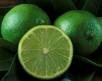 Лайм, Ліметта (Citrus aurantiifolia, limetta) Кімнатний плодовий