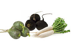 Насіння редьки, фасовка 100 г