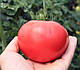 Насіння томата Пінк Делі (ТХ 2720) F1 250 насіння Takii Seeds, фото 3