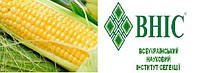 Семена кукурузы ВН 6763 ВНИС (ФАО320)