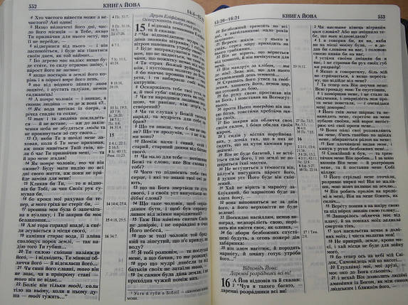 Біблія, 16,5х24,5 см, сіра з синім тисненням, фото 3