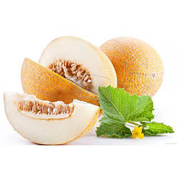 Дыня Титовка 20н