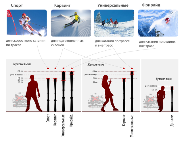 Подобрать лыжи по росту