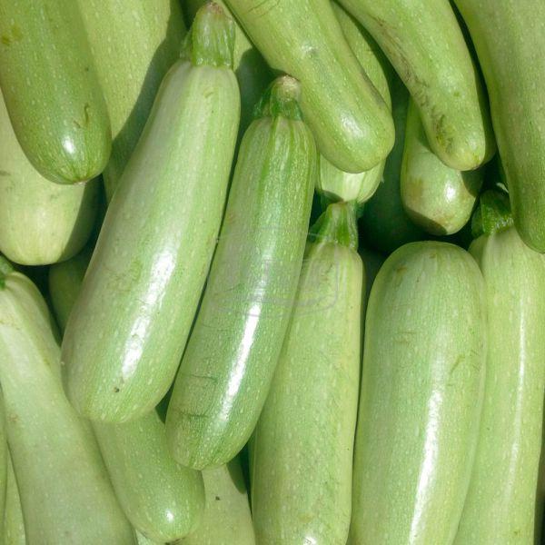 Кабачок Аспірант 20 г Агроном, фото 1