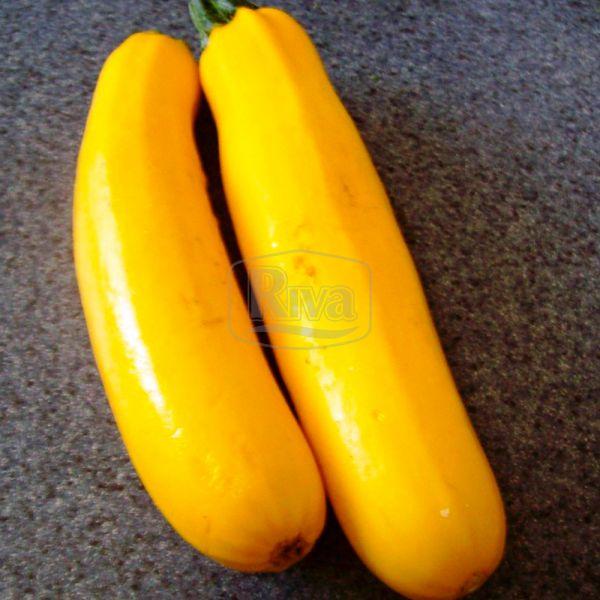 Кабачок Золотинка 50 г Агроном, фото 1