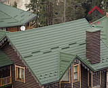 Снігозатримувач універсальний Євро 1, фото 4