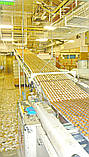 Бу лінія виробництва мигдалевого печива 200-300 кг/год Lu, фото 5
