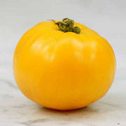 Насіння томату жовтого детермінантного проф