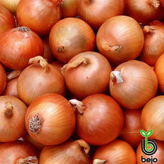 Насіння цибулі Манас F1 (Бейо/Bejo) 250000 насіння — середньопоздій (110-115 днів), жовтий, круглий, репчастий.