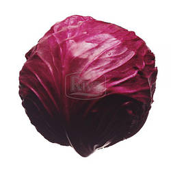 Капуста червоношкіряна Топаз 0,5 г Агроном