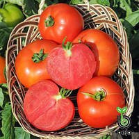 Полфаст F1 семена томата, 5 г ультра-ранний (54-58 дней) красный, детерминант Bejo