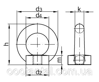 Рым-Гайка Стальная Оцинкованная От М8 До М64, DIN 582: Продажа.
