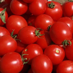 Насіння томату Солероссо F1, 50 насінин — ультраранній, червоний, детермінантний, круглий, Nunhems, фото 2