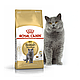 Сухий корм Royal Canin British Shorthair Adult 2 кг, фото 2