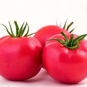 Насіння рожевого томату Малинка Стар F1 (Пінк вейв F1)/Cora Seeds (500 сем) — ранній, індетермінантний