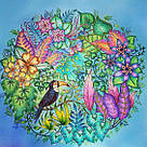 Розмальовка для дорослих Магія джунглів Джоана Басфорд, фото 7
