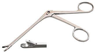 Конхот з ложкоподібними губками