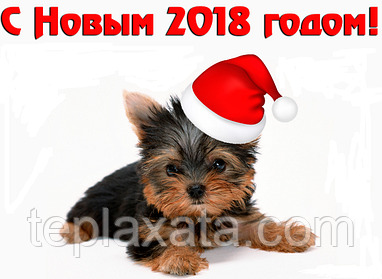 З Новим 2018 Роком!