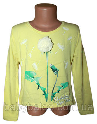 Реглан підліток "Кульбаба"(від 6 до 9 років), фото 1