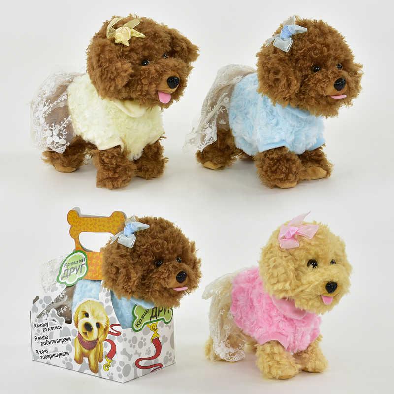 Чутлива собачка — найліпший друг