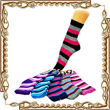 Шкарпетки махрові Жіночі 12 пар/уп.