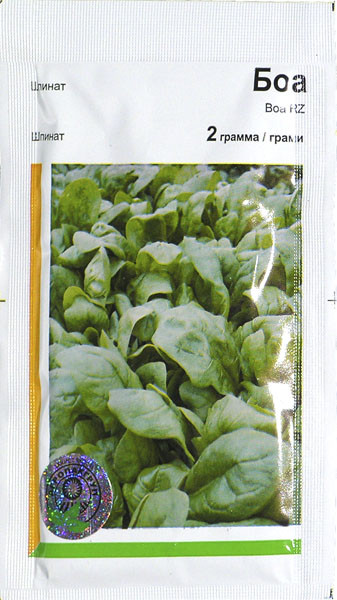 Семена шпината Боа (Rijk Zwaan/Агропак+) 2 г ранний (45 дней), холодоустойчивый, листья округлые - фото 2 - id-p631799245